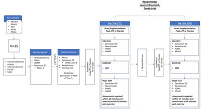 Evaluating the effects of PeakATP® supplementation on visuomotor reaction time and cognitive function following high-intensity sprint exercise